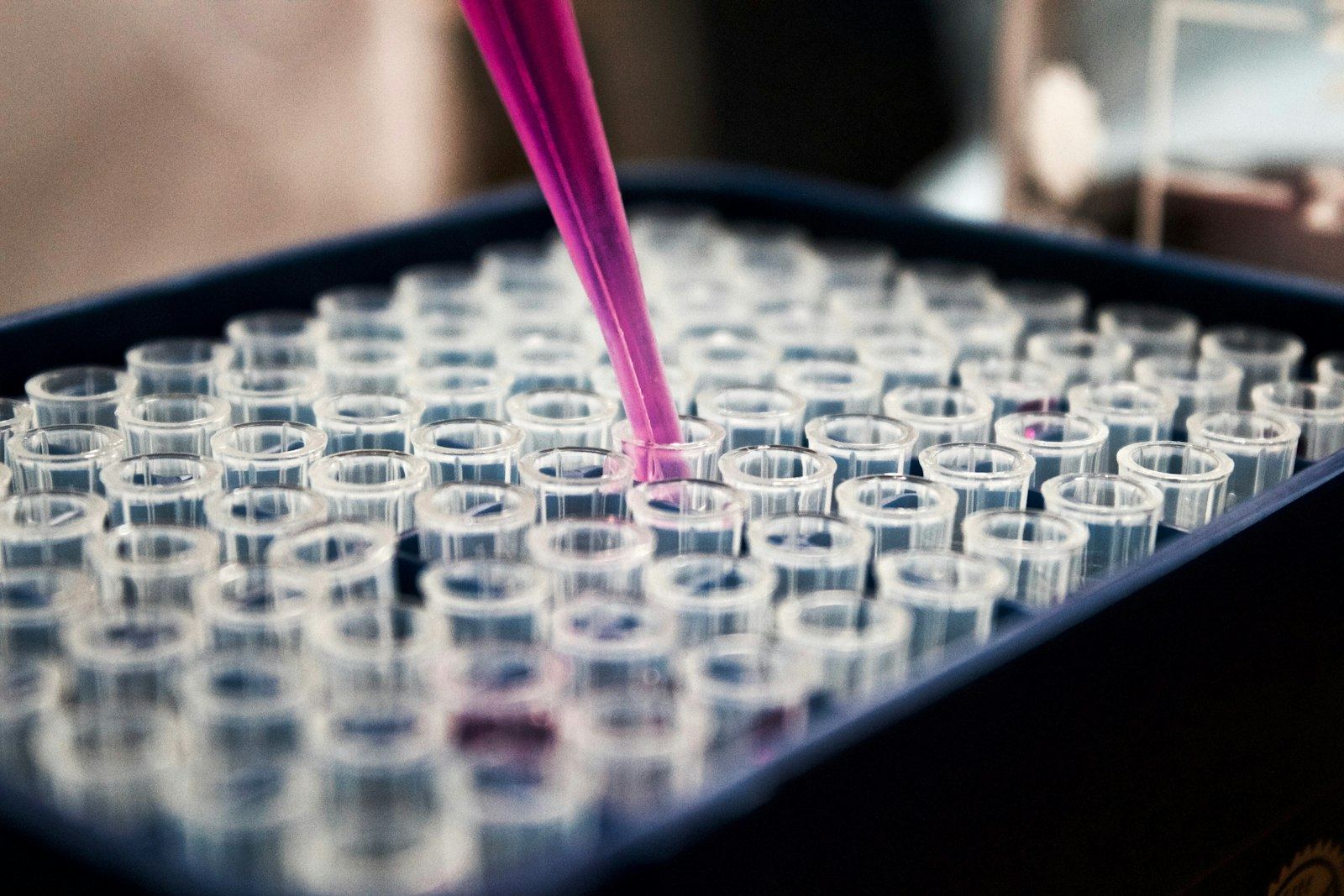 A pipette dispensing pink liquid into a rack of sample tubes