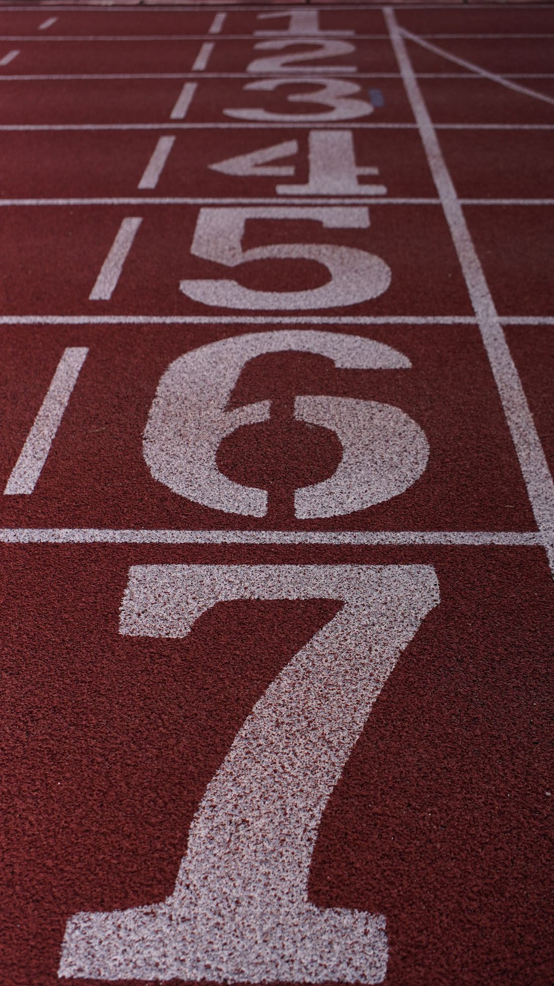 White lane numbers painted on a red running track